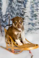 processed/172cc479-b2b8-44ef-a220-b75be984248b/listing/8742b861-5b78-4be5-be92-523f77a452fe/ef04101a-c6ce-47e5-a846-443ecbe373d6