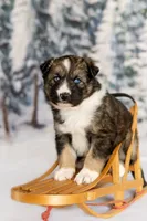 processed/172cc479-b2b8-44ef-a220-b75be984248b/listing/88c1a31f-2584-4035-99ad-0dfbc62a1eaa/47e14b7d-7831-486a-8e26-b614fd9e2f8a