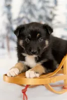 processed/172cc479-b2b8-44ef-a220-b75be984248b/listing/c4b7ad9b-9016-439e-89fc-c97618830581/b30f7e7d-e105-49f3-ba94-6b3b4d765d7b