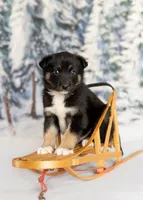 processed/172cc479-b2b8-44ef-a220-b75be984248b/listing/c4b7ad9b-9016-439e-89fc-c97618830581/db719fb7-042a-41a2-b83f-b82417ca4a71