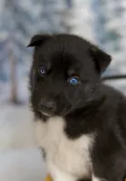 processed/172cc479-b2b8-44ef-a220-b75be984248b/listing/d4eeb9a1-041b-496f-b6b2-547be95ef10f/a306826b-8321-4557-9de8-23702d7fec50