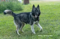 processed/172cc479-b2b8-44ef-a220-b75be984248b/listing/f283f958-a4cc-4dc2-8a79-26e50ad15ff7/4ebb480d-3a4b-451f-b577-eb4303ea0a52