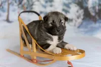 processed/172cc479-b2b8-44ef-a220-b75be984248b/listing/f283f958-a4cc-4dc2-8a79-26e50ad15ff7/e3b213e9-27d8-4a2a-9f8c-9407c2cbb5d1