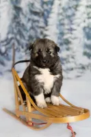 processed/172cc479-b2b8-44ef-a220-b75be984248b/listing/f283f958-a4cc-4dc2-8a79-26e50ad15ff7/fd4d3d16-9f54-4d64-a393-bf417690c352