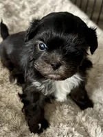 processed/17355d51-1434-4979-9cca-0ee0d4d462a6/listing/e55ca4f8-b795-40c6-89af-76f469a00dee/51336280-3668-46e3-b888-c89273271046