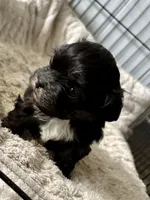 processed/17355d51-1434-4979-9cca-0ee0d4d462a6/listing/e55ca4f8-b795-40c6-89af-76f469a00dee/d07a1311-f7bb-4eeb-9d50-c15246b10acc