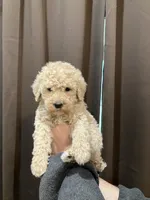 processed/173b0a17-d7e7-4ff7-b00e-2d81eef60889/listing/74b52b77-7985-4d41-bd3b-7c0a0bde7e11/05d236f1-c04e-418a-98bf-8433448ddb76