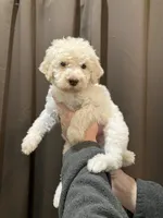 processed/173b0a17-d7e7-4ff7-b00e-2d81eef60889/listing/cfba1972-63b3-430b-a6eb-fa9a63b01880/2ae95e16-86c2-41eb-b5e0-fa9423b8d187