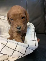 processed/17478469-60d1-43de-8ef3-bd9a8eaca253/listing/6a8bb9a1-0896-4088-b8fd-7cad4ba171ec/a1abc3b7-10df-4d4f-bd62-7a1c2027dc74