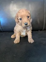 processed/17478469-60d1-43de-8ef3-bd9a8eaca253/listing/929988dc-a4a2-4a60-b271-0fd86c63cbc5/00bcd40a-cc08-4688-8f08-24158d4bc7d0