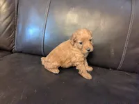 processed/17478469-60d1-43de-8ef3-bd9a8eaca253/listing/929988dc-a4a2-4a60-b271-0fd86c63cbc5/1bd84071-8744-4b52-94e0-3e57161f984d