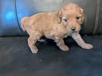 processed/17478469-60d1-43de-8ef3-bd9a8eaca253/listing/929988dc-a4a2-4a60-b271-0fd86c63cbc5/a1c816f0-d756-4ebd-afa9-45a211b3ac5d