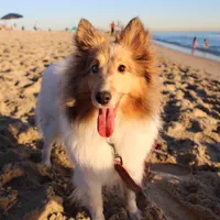 processed/1747eef7-ee0e-4bc1-adb1-dfe7daa8f789/facility/37337e43-1cc2-47fe-8588-c52786787681