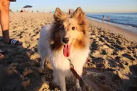 processed/1747eef7-ee0e-4bc1-adb1-dfe7daa8f789/facility/37337e43-1cc2-47fe-8588-c52786787681