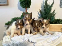 processed/1747eef7-ee0e-4bc1-adb1-dfe7daa8f789/facility/5f3b197f-76f4-4eaa-a6f6-fd0fff281289