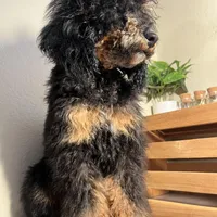 processed/1747eef7-ee0e-4bc1-adb1-dfe7daa8f789/facility/bbba3bfa-42cb-4487-b50a-f580767e798d