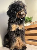 processed/1747eef7-ee0e-4bc1-adb1-dfe7daa8f789/facility/bbba3bfa-42cb-4487-b50a-f580767e798d