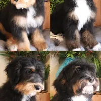 processed/1747eef7-ee0e-4bc1-adb1-dfe7daa8f789/facility/c3bcdad4-fadf-4d02-b020-7cc990f20382