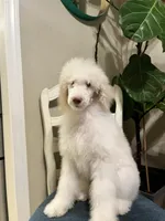 processed/1747eef7-ee0e-4bc1-adb1-dfe7daa8f789/facility/e6e49051-2a97-4afe-9bd6-e0b4796c5f98