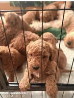 processed/174a8041-01b7-4739-b064-f4531e2432b7/facility/07bbec4f-8378-4a2a-933b-fefc98f63ea4