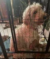 processed/174a8041-01b7-4739-b064-f4531e2432b7/facility/4b84a60e-9bc6-42f5-acf4-21b14cacba7a