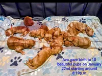 processed/174a8041-01b7-4739-b064-f4531e2432b7/facility/eb21a7fa-7eff-4ea4-8f9f-50fa65f490ab