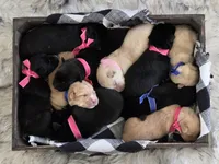 processed/174d423e-151e-43a6-8491-d946fbfa0153/listing/710043cc-1c82-4bc0-890a-545e56b09a64/d8c58a59-939c-4ae9-82b4-a68d434bba34