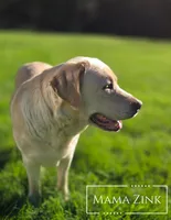 processed/174d423e-151e-43a6-8491-d946fbfa0153/listing/8a81349b-d87b-4370-9bf2-1f4281f9d1f3/b9807731-88e4-4c11-a31b-8bb9b3581db9