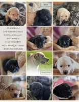 processed/174d423e-151e-43a6-8491-d946fbfa0153/listing/a29371ce-05bb-4c28-97f0-039029754c1d/436de954-b49f-403c-a8e3-b210ff308fe7