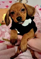 processed/1757cd29-d558-45ae-8fe8-a635447194bf/listing/9d7a58ee-cd26-4ca5-83ab-bcf52e10172c/3ba0740d-459d-48ca-8a9e-eea774b8e33f