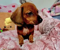 processed/1757cd29-d558-45ae-8fe8-a635447194bf/listing/9d7a58ee-cd26-4ca5-83ab-bcf52e10172c/4a69c83e-4e8f-4535-bf6a-921274d3c29c