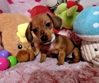 processed/1757cd29-d558-45ae-8fe8-a635447194bf/listing/9d7a58ee-cd26-4ca5-83ab-bcf52e10172c/51b9a202-44f9-4428-965d-fda4435538ba