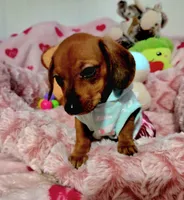 processed/1757cd29-d558-45ae-8fe8-a635447194bf/listing/9d7a58ee-cd26-4ca5-83ab-bcf52e10172c/a6bf897d-479f-4592-8f6b-fbc08b056e51