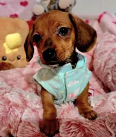 processed/1757cd29-d558-45ae-8fe8-a635447194bf/listing/9d7a58ee-cd26-4ca5-83ab-bcf52e10172c/cf8f7f65-60fd-482b-be45-b6affd92bf9e