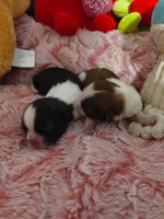 processed/1757cd29-d558-45ae-8fe8-a635447194bf/listing/ff4a37d6-bbce-4134-b6fe-c94ef2d78d63/06ecc559-d418-42c5-a0af-61a2250c1a2f