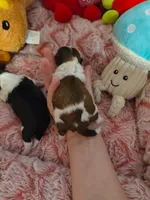 processed/1757cd29-d558-45ae-8fe8-a635447194bf/listing/ff4a37d6-bbce-4134-b6fe-c94ef2d78d63/f02be8b3-f36f-4caa-bf30-8f9fd07a2b03