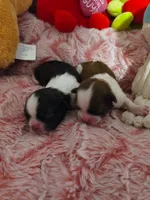 processed/1757cd29-d558-45ae-8fe8-a635447194bf/listing/ff4a37d6-bbce-4134-b6fe-c94ef2d78d63/fd194832-0801-419c-85fd-9d3a069a2277