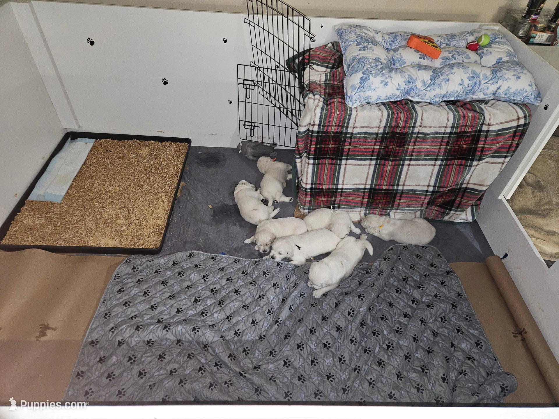 processed/175ba2f2-2415-46e1-bffc-1037c23c70f3/facility/221a8b81-70c7-4354-a4ec-b85cab88ae40