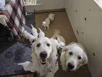 processed/175ba2f2-2415-46e1-bffc-1037c23c70f3/facility/fa806676-a2f5-4ffc-b7c1-53124896fda7