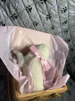 Miss Pink, a female Golden Retriever for sale in Grand Island, NE – Photo 2 of 9