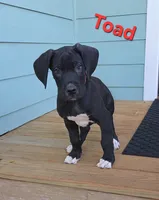 processed/175d2f37-b800-4cdd-8ed5-cc95d45c310c/listing/2280c5dd-21c2-4847-b612-97d941a19dfb/1b500892-e503-41a8-b5e5-e672c1d8bfd1