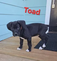 processed/175d2f37-b800-4cdd-8ed5-cc95d45c310c/listing/2280c5dd-21c2-4847-b612-97d941a19dfb/5b037aa8-df0c-4e43-a5c5-60be0d2c4ada