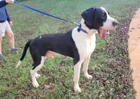 processed/175d2f37-b800-4cdd-8ed5-cc95d45c310c/listing/2280c5dd-21c2-4847-b612-97d941a19dfb/6c4d3b78-9e49-4069-8deb-d814db69e8b6