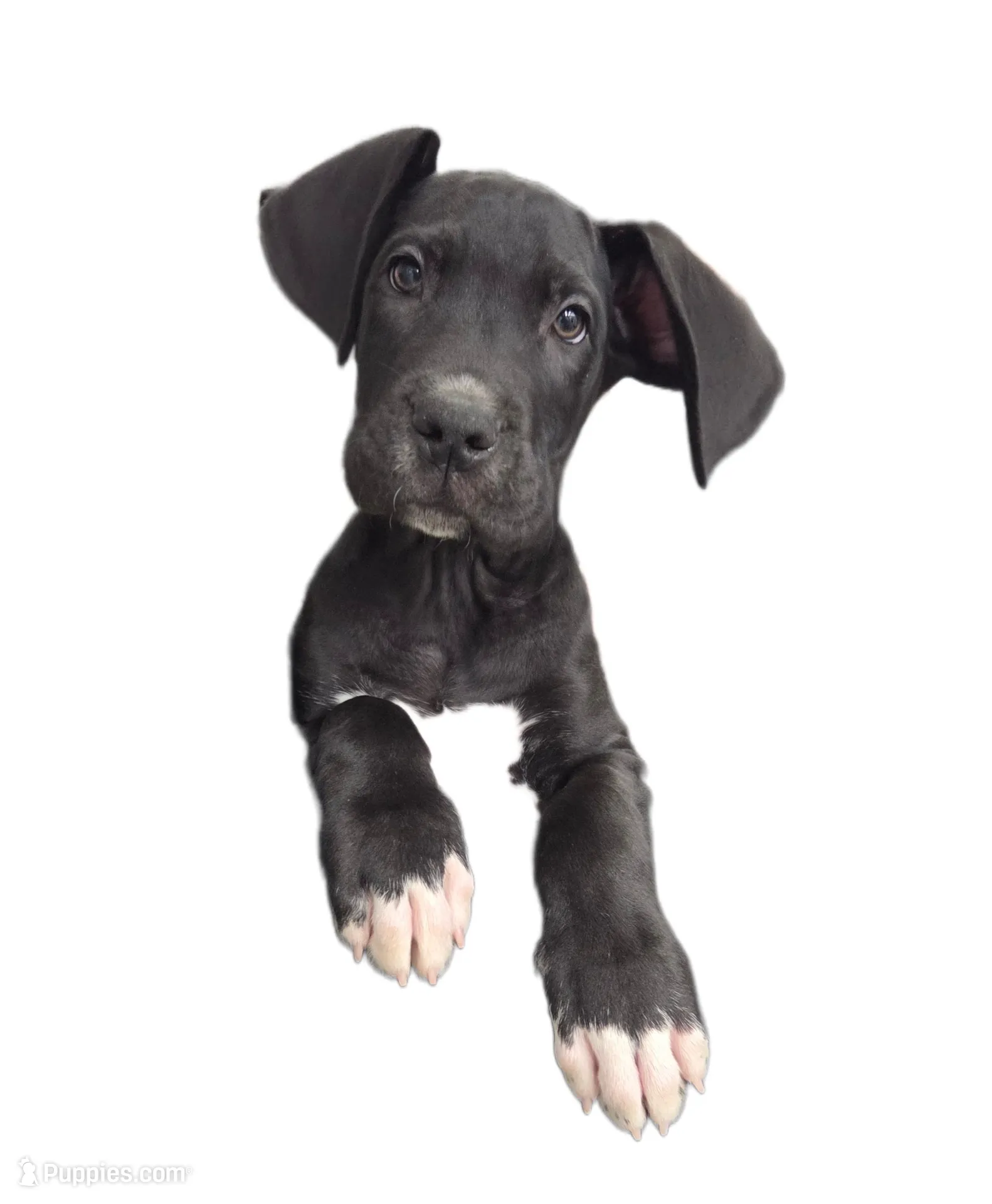 processed/175d2f37-b800-4cdd-8ed5-cc95d45c310c/listing/2280c5dd-21c2-4847-b612-97d941a19dfb/72e41c5c-53fe-455c-a0a3-eed63614d834