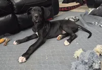 processed/175d2f37-b800-4cdd-8ed5-cc95d45c310c/listing/2280c5dd-21c2-4847-b612-97d941a19dfb/76fdfdb1-d864-4d1c-94af-dda99a970463