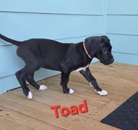 processed/175d2f37-b800-4cdd-8ed5-cc95d45c310c/listing/2280c5dd-21c2-4847-b612-97d941a19dfb/a4525ab8-e536-4f46-a6a4-ba76b9922b25