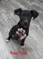 processed/175d2f37-b800-4cdd-8ed5-cc95d45c310c/listing/2280c5dd-21c2-4847-b612-97d941a19dfb/ae2bdcc1-9f9e-4cf8-83a9-c00658913fd2