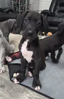 processed/175d2f37-b800-4cdd-8ed5-cc95d45c310c/listing/405e4399-c6ae-4d59-a269-20b37c1932b1/55f75fff-4a1f-489c-9c56-129f170e5ba4