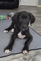 processed/175d2f37-b800-4cdd-8ed5-cc95d45c310c/listing/405e4399-c6ae-4d59-a269-20b37c1932b1/5e9ffc45-398a-49fa-9bd7-8a0aa9eb84f8