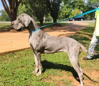 processed/175d2f37-b800-4cdd-8ed5-cc95d45c310c/listing/405e4399-c6ae-4d59-a269-20b37c1932b1/6283bcdf-f95c-4638-aa2d-be73c8c601bb